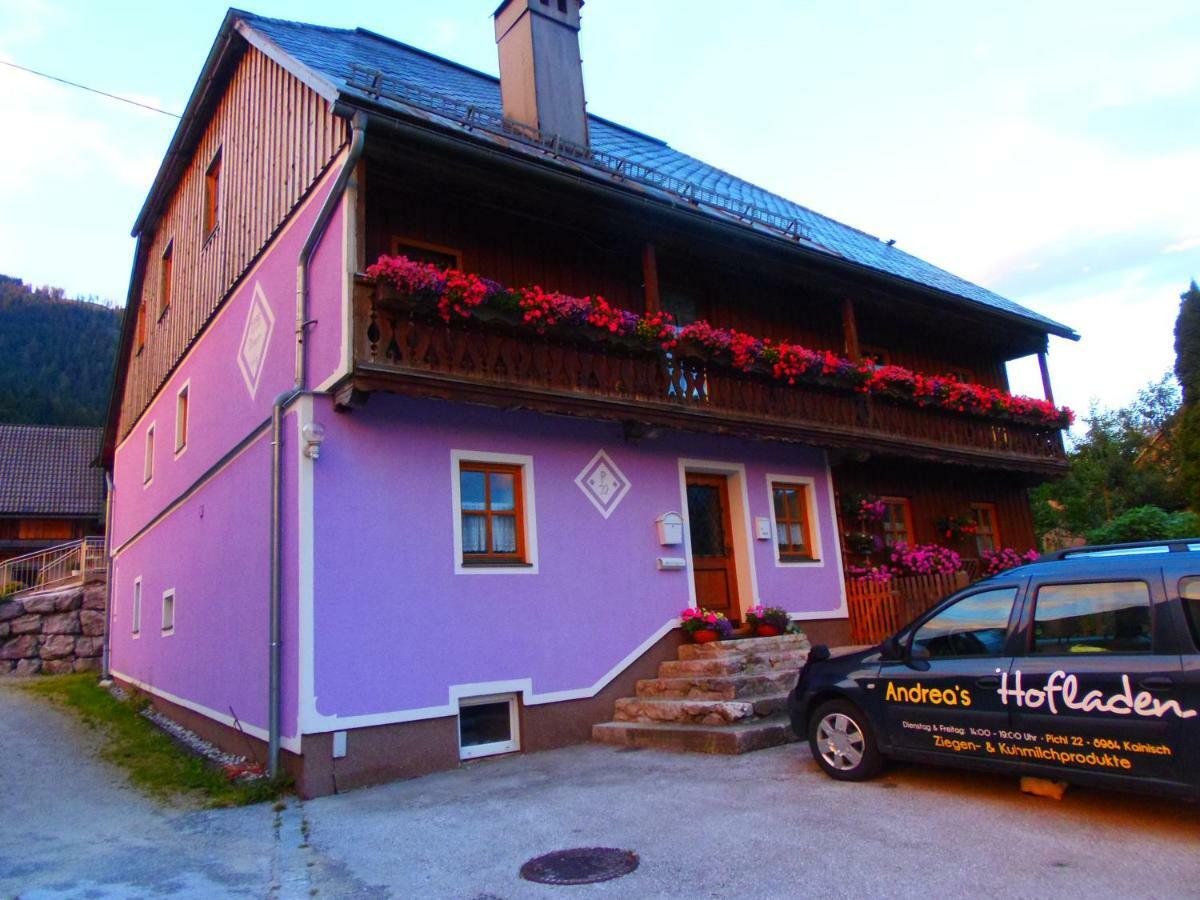 Ferienwohnung Andrea Bad Mitterndorf Kültér fotó